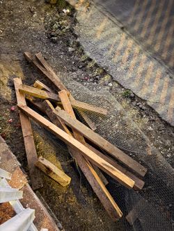Free wood and chicken wire