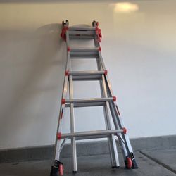 Little Giant: Ladder
