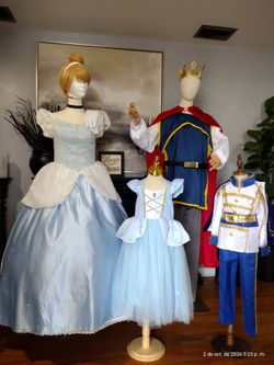 Cinderella family cosplay Halloween costume