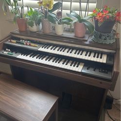 Yamaha Organ