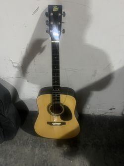 Rogue Guitar