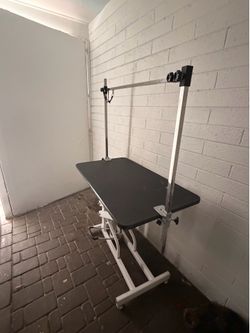 Grooming table
