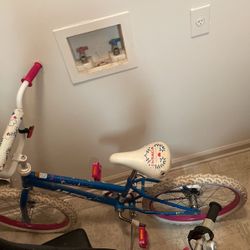 Razor Motor Scooter & Bike