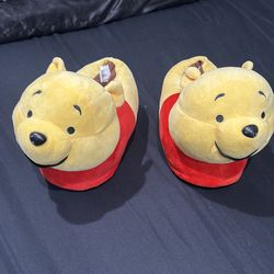 Winnie  the Pooh slippers