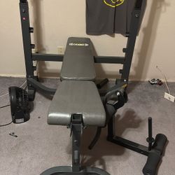 3 In One Weight Bench