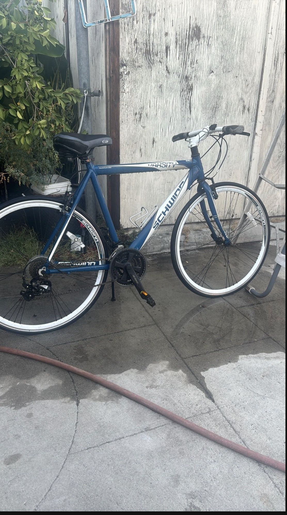 Bike Schwinn