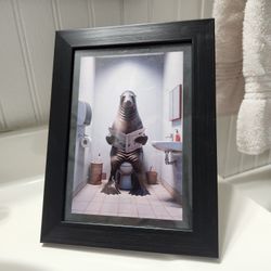 Seal Picture