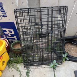 32 Dog Cage
