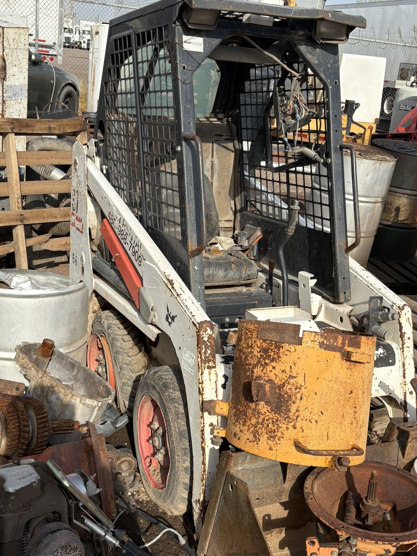 Bobcat