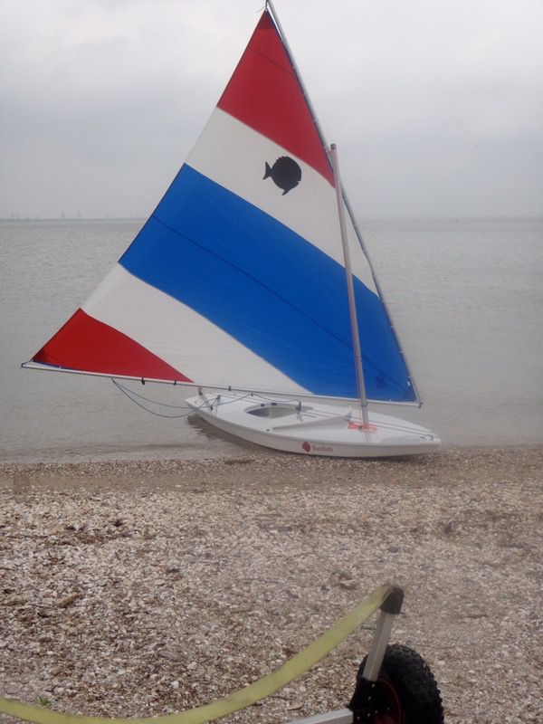 sunfish sailboat for sale houston
