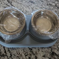 Cat or Small Dog Elevated Bowls Stainless Steel  Food and Water Bowls (Gray)