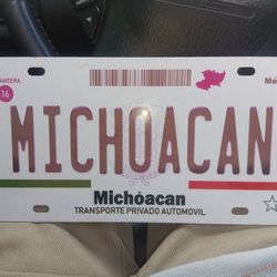 License Plate 