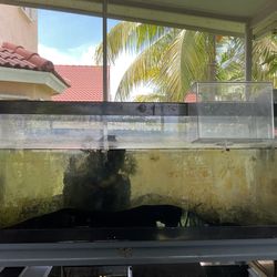 Fish Tank 20 Gallon