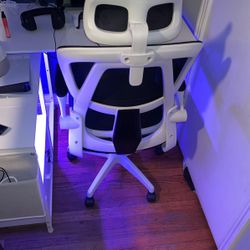 Ergonomics Gaming Chair