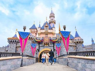 Disney ticket