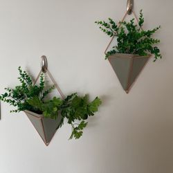 Ceramic Wall Hanging Plant Pots