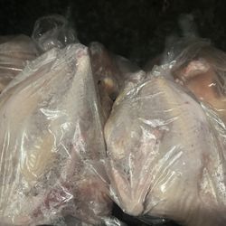 Gallina De Vente pollos Fresco Rancho