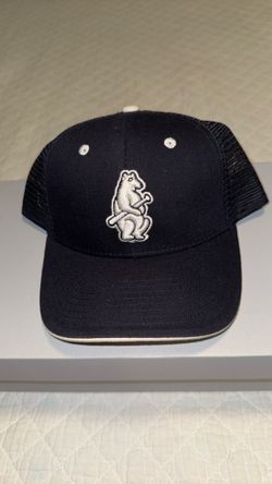 Cubs Hat