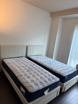 Twin XL Mattresses- $350 each