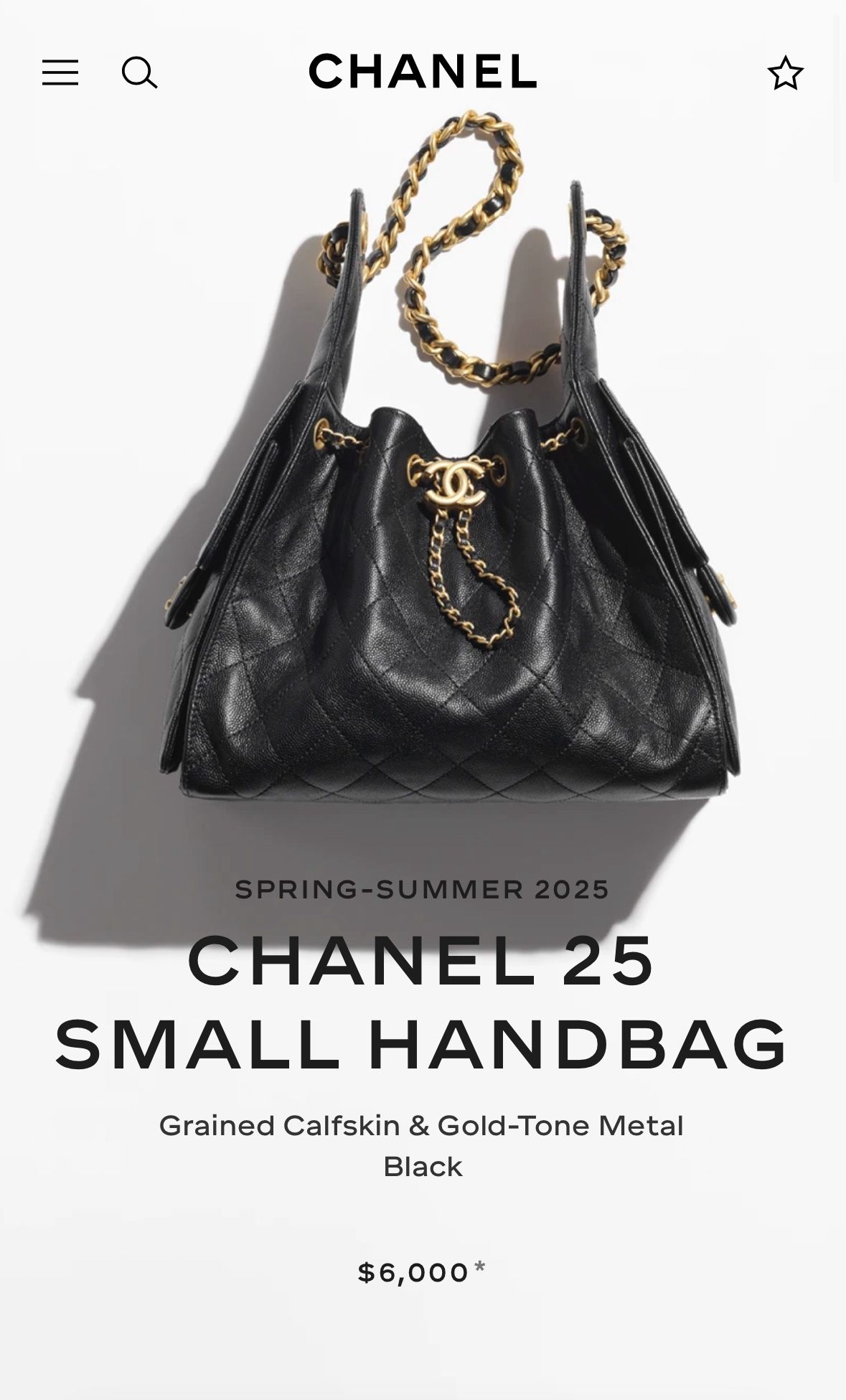 CC 25 Handbag Hobo purse 30x26x14cm