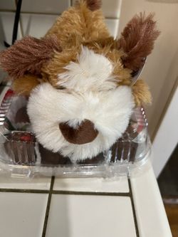 Plush Puppy Dog Box Valentines  Day 