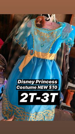Disney costume