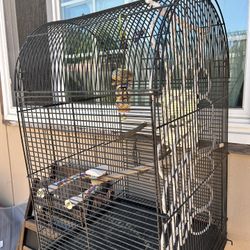 Bird Cage