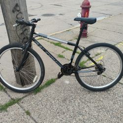 Raleigh Adult Bike