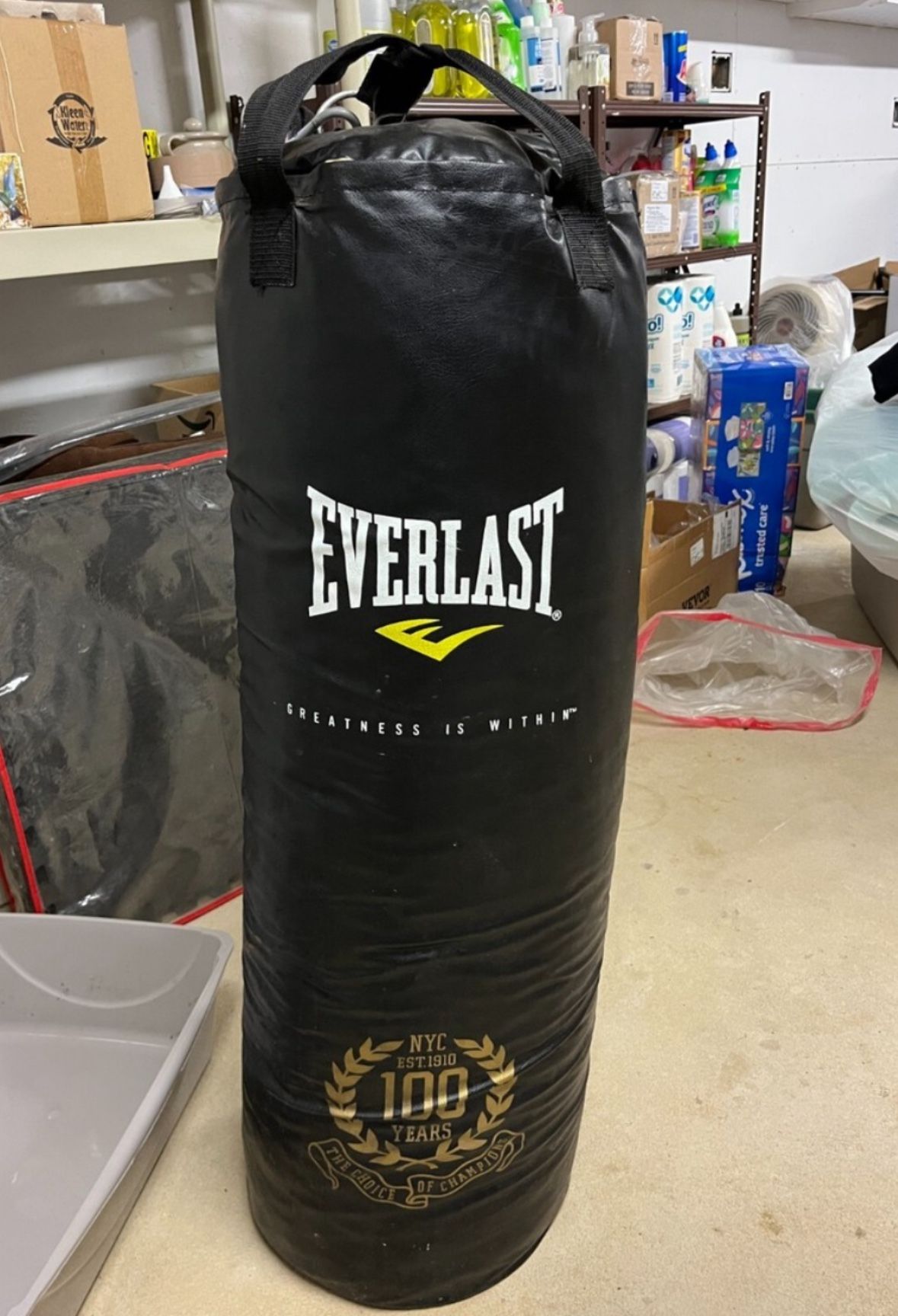 Everlast Punching Bag And Speed Bag