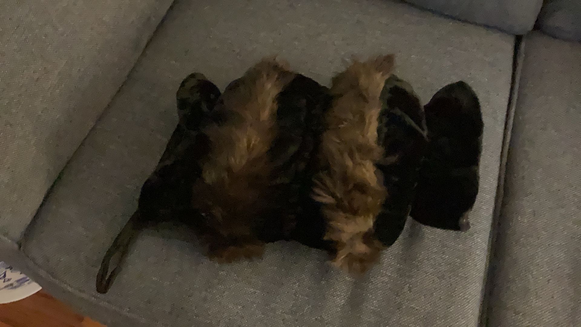 Wonderful Vintage Fur Muff, Put Hands In Either Side Stay Warm Be Different.