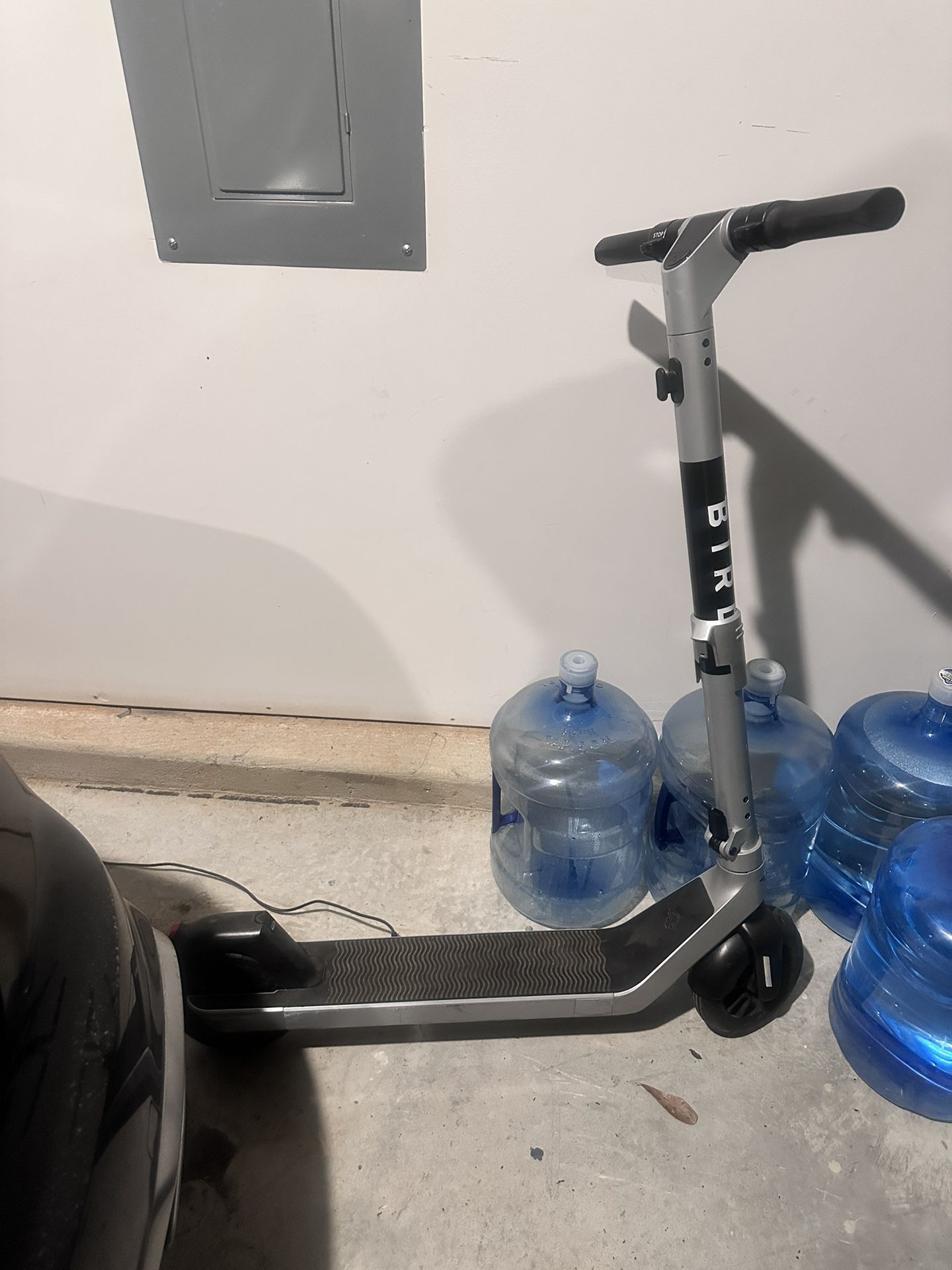 BIRD ELECTRIC SCOOTER.  OBO