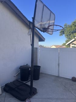Portable Basketball Court
