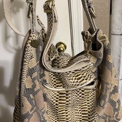 Snake skin Purse