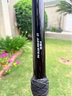 Seeker Pinhead Ulua Rod New