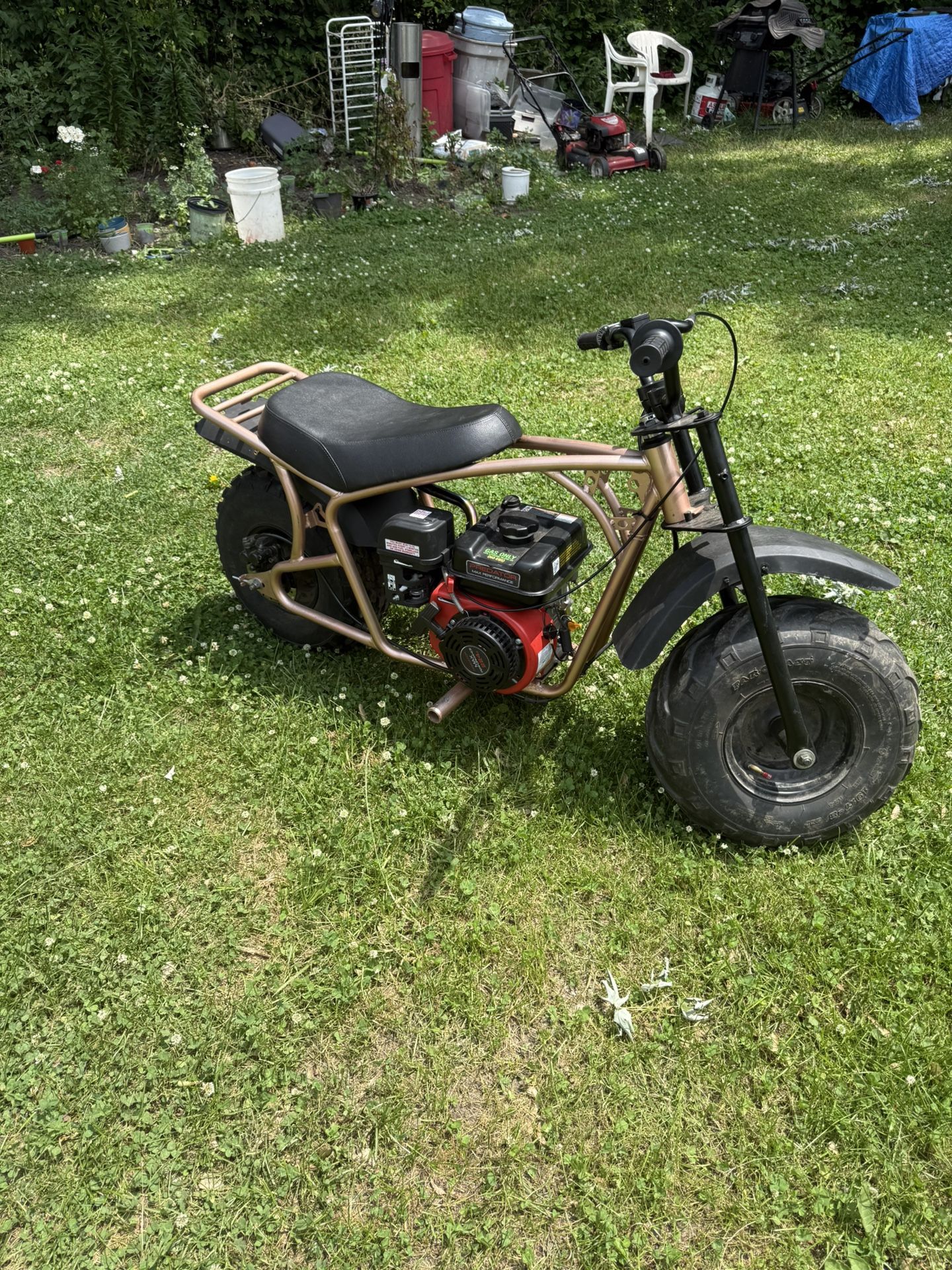 Mini Bike
