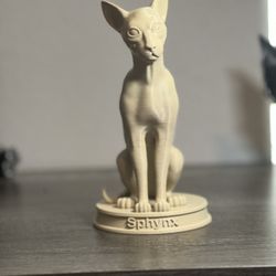 Sphynx Cat 