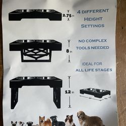Brand New Raised Dog Bowl 