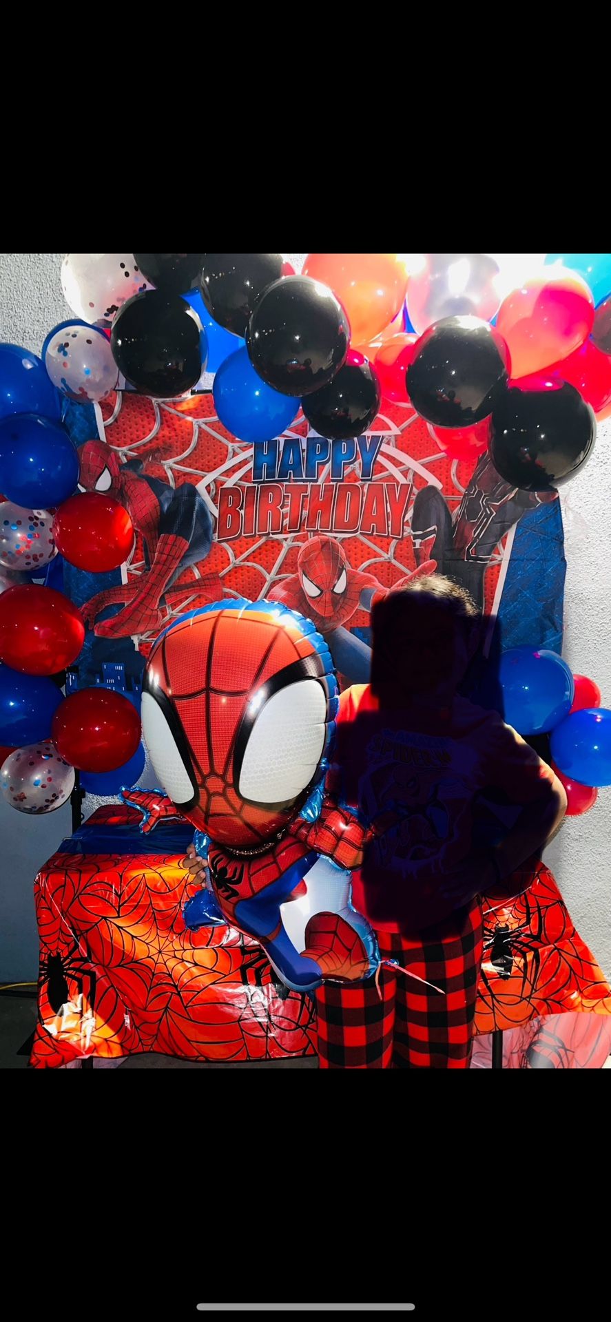 Spider-Man Party Decor