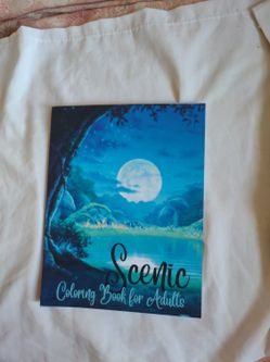 Scenic Coloring Book 