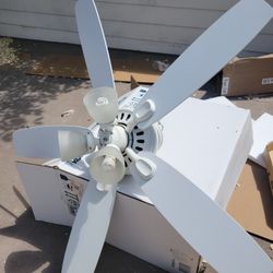 Fan 