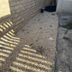 Free 3/8” California Gold Rock