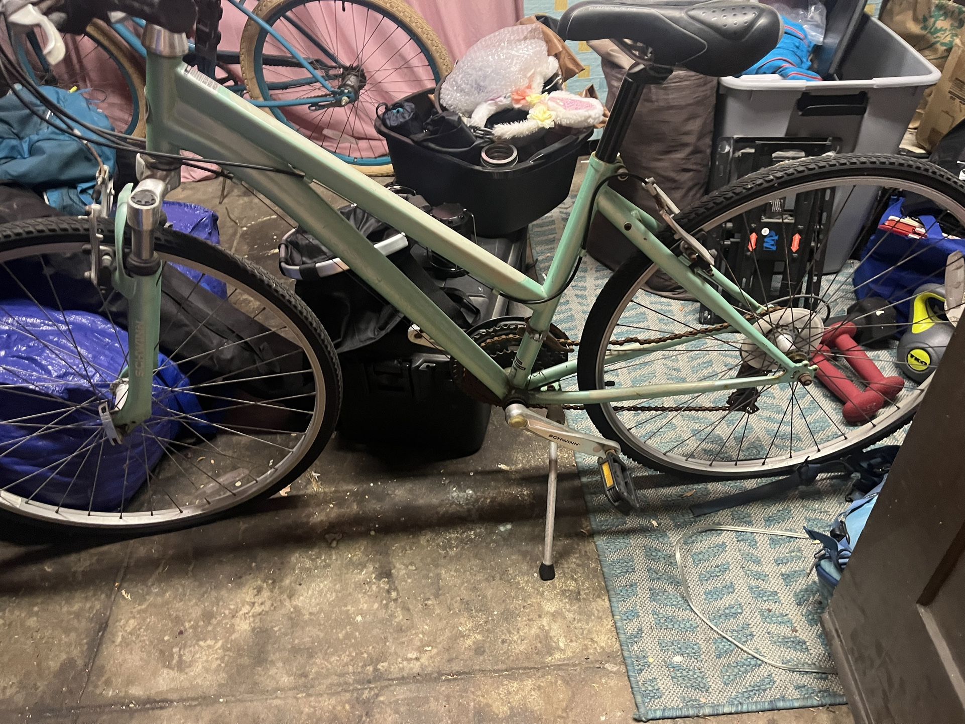 Schwin Bike