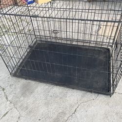 Dog Cage 