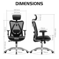 Office Ergo Chair 