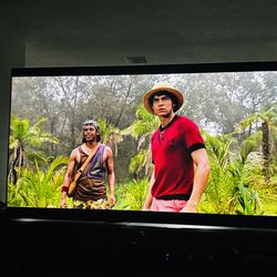 Sony Bravia 85”