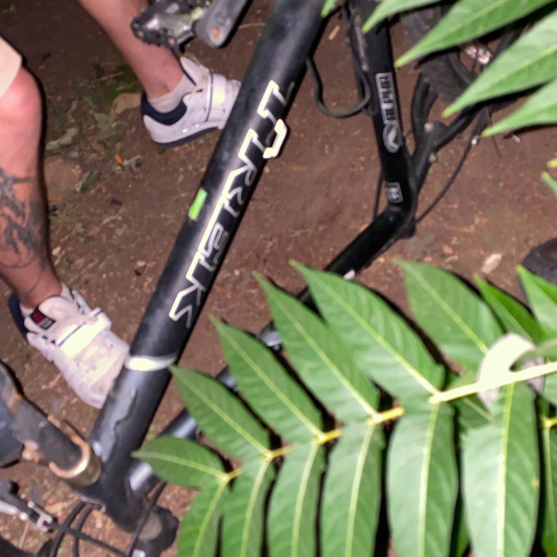 Trek 3900