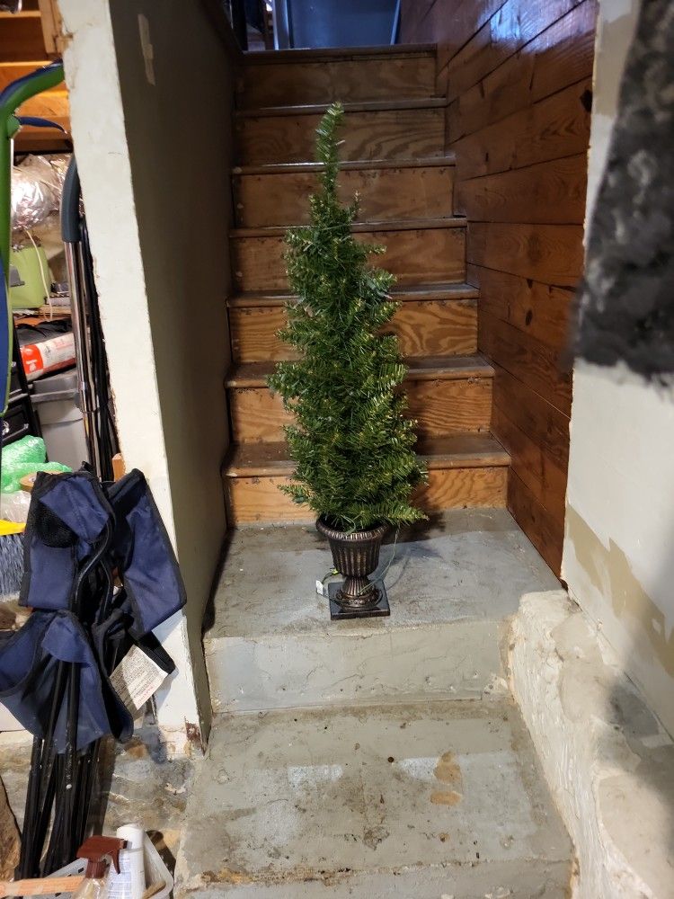 Topiary Lighted Tree...
