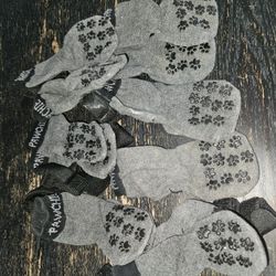 Dog Paw Socks & Shoes 