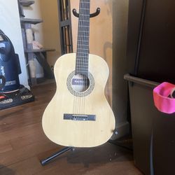 Guitar And Stand