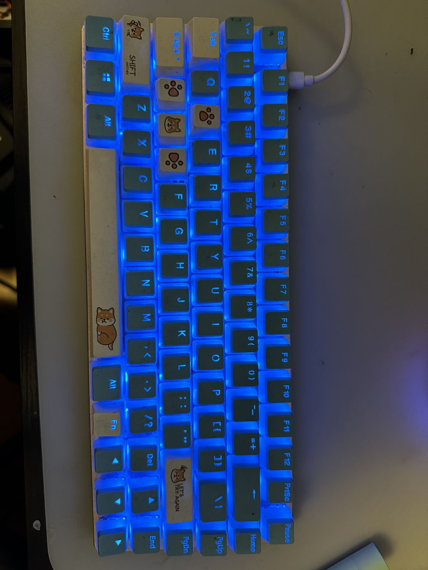 Blue Switch Custom Cap Led Keyboard